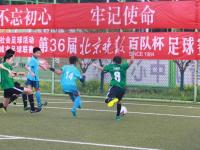 喜讯！我市教师参加省中小学体育教师教学技能大赛获佳绩